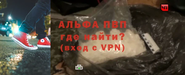 прущие грибы Заволжье