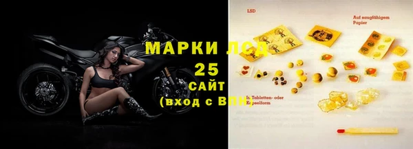 прущие грибы Заволжье