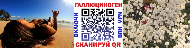 Псилоцибиновые грибы Psilocybine cubensis  Купить где  Гороховец 